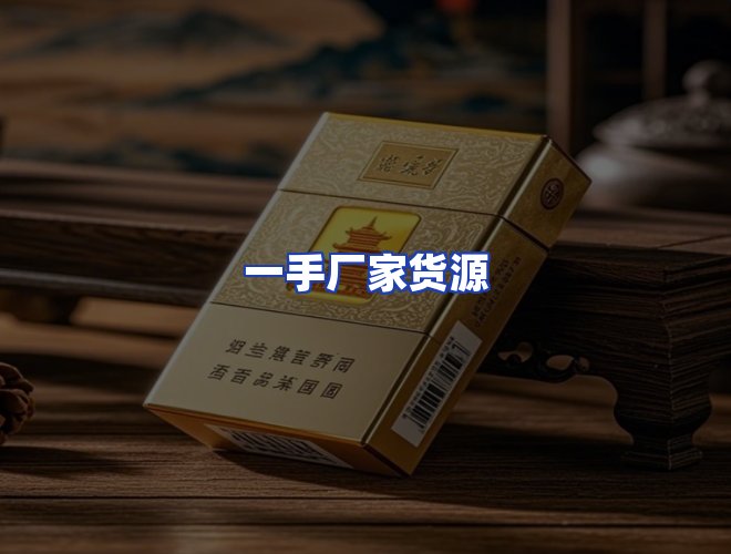 专业团队